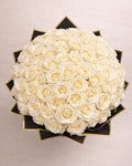 Rosalisha Roses