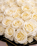 Rosalisha Roses