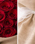 Rosalisha Roses