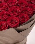 Rosalisha Roses